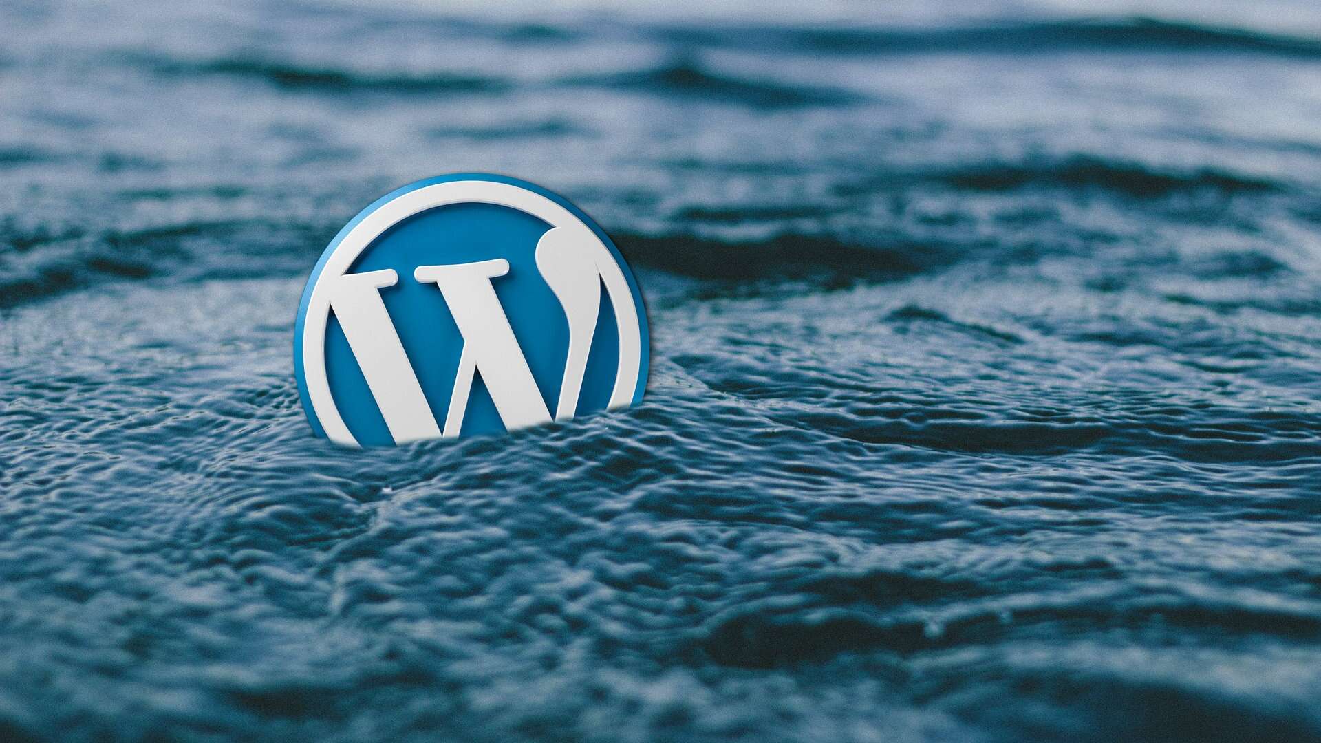 Solucionar un problema tras una actualización de WordPress